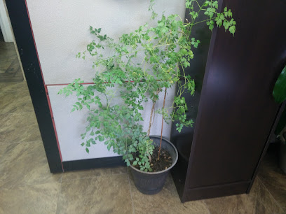 Envy Salon - Nail Salon in Fredericton, New Brunswick