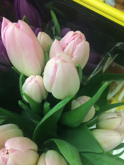 Nu-You Day Spa & Nail Salon - Nail Salon in Sault Ste. Marie, Ontario